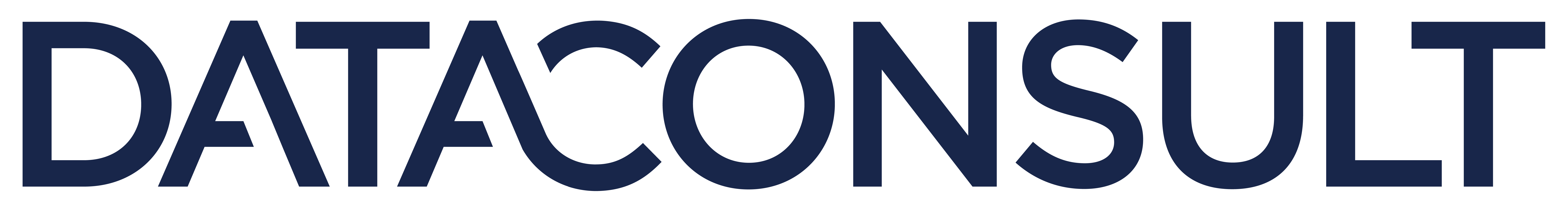 DataConsult Logo